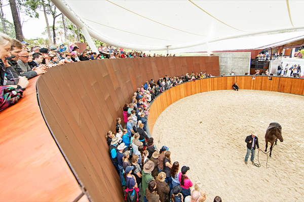 Industrial-Willingar Wilinga Equestrian Centre