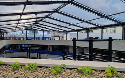 Rhodes-TENSOSKY-ETFE-skylight TensoSky ETFE System