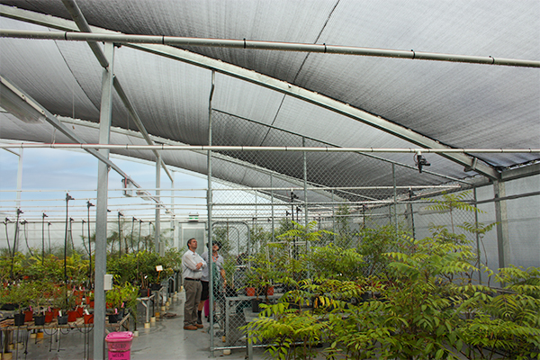 Boggo Road Ecoscience Precinct Shade Mesh Greenhouse