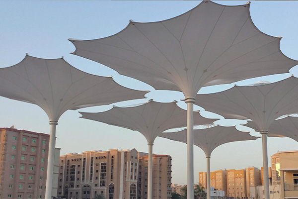 Tariq Automated Retractable Umbrellas Award Winner