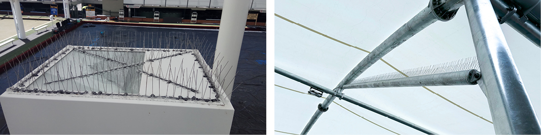 Bird Control Measures for Shade Structures | MakMax Australia