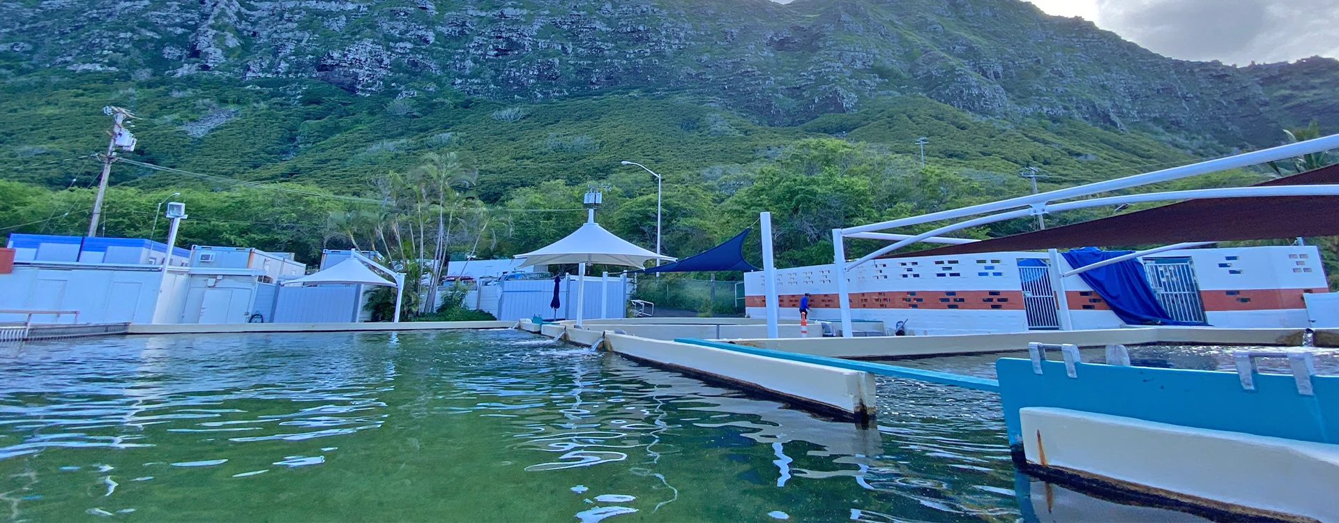 A Leva Umbrella at Sea Life Park in Hawaii